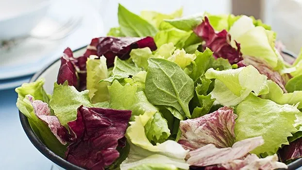 Insalata.webp