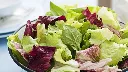 Insalata.webp
